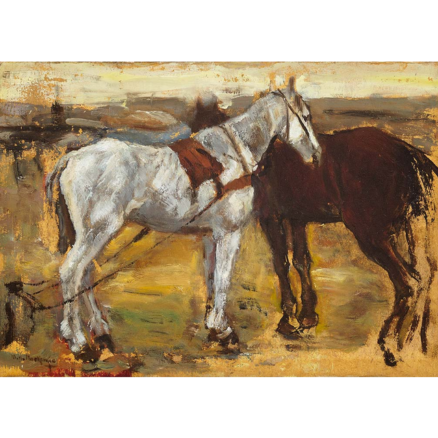 Paarden