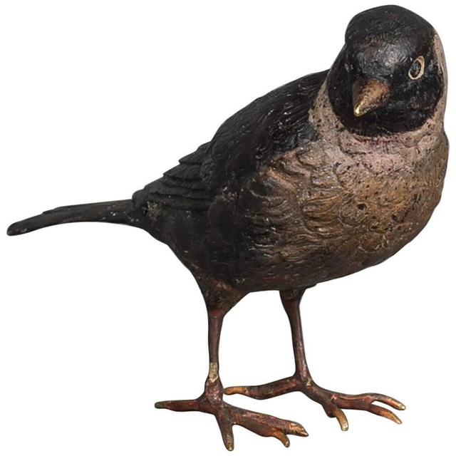 A charming multicoloured Vienna finch bird bronze late 19th century