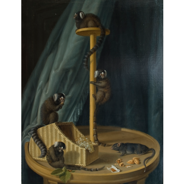 Johann Dietrich Findorff - Monkeys
