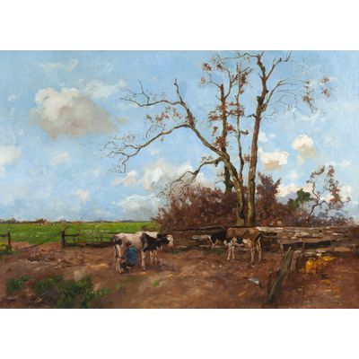 Milking time in a summer landscape