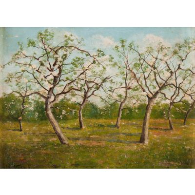 The Orchard