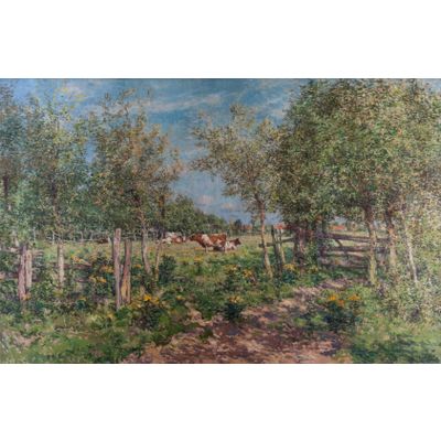 Cows in a blooming meadow