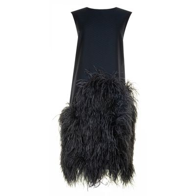 FW 2013 Dries van Noten Runway Feather-Trimmed Midi Dress