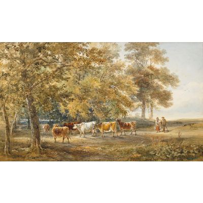 Landschap met koeien