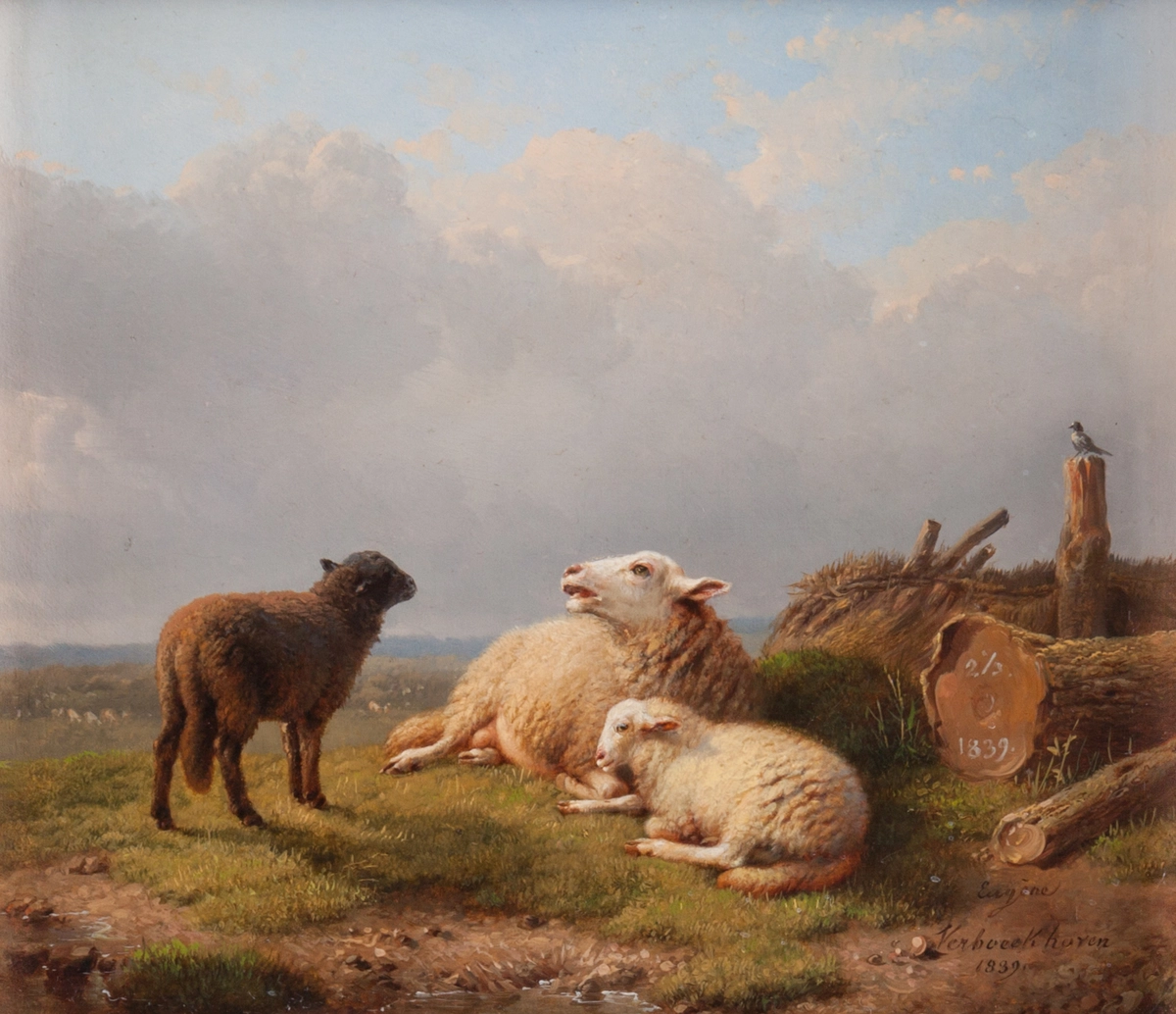 Paysage néerlandais avec des moutons