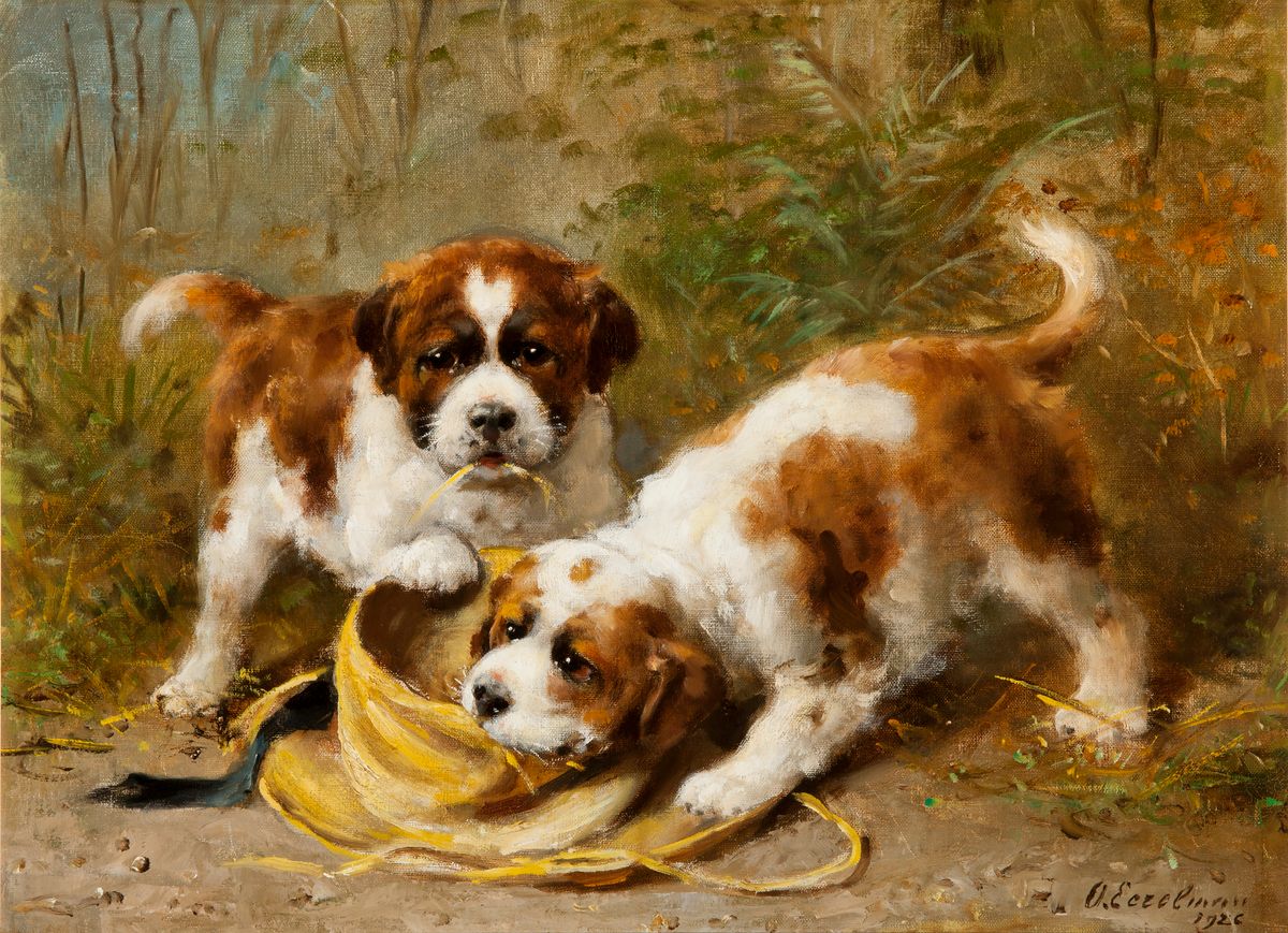 Two Saint-Bernard puppies playing with a hat - Otto Eerelman - image 1