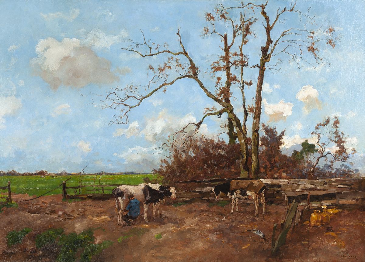 Milking time in a summer landscape