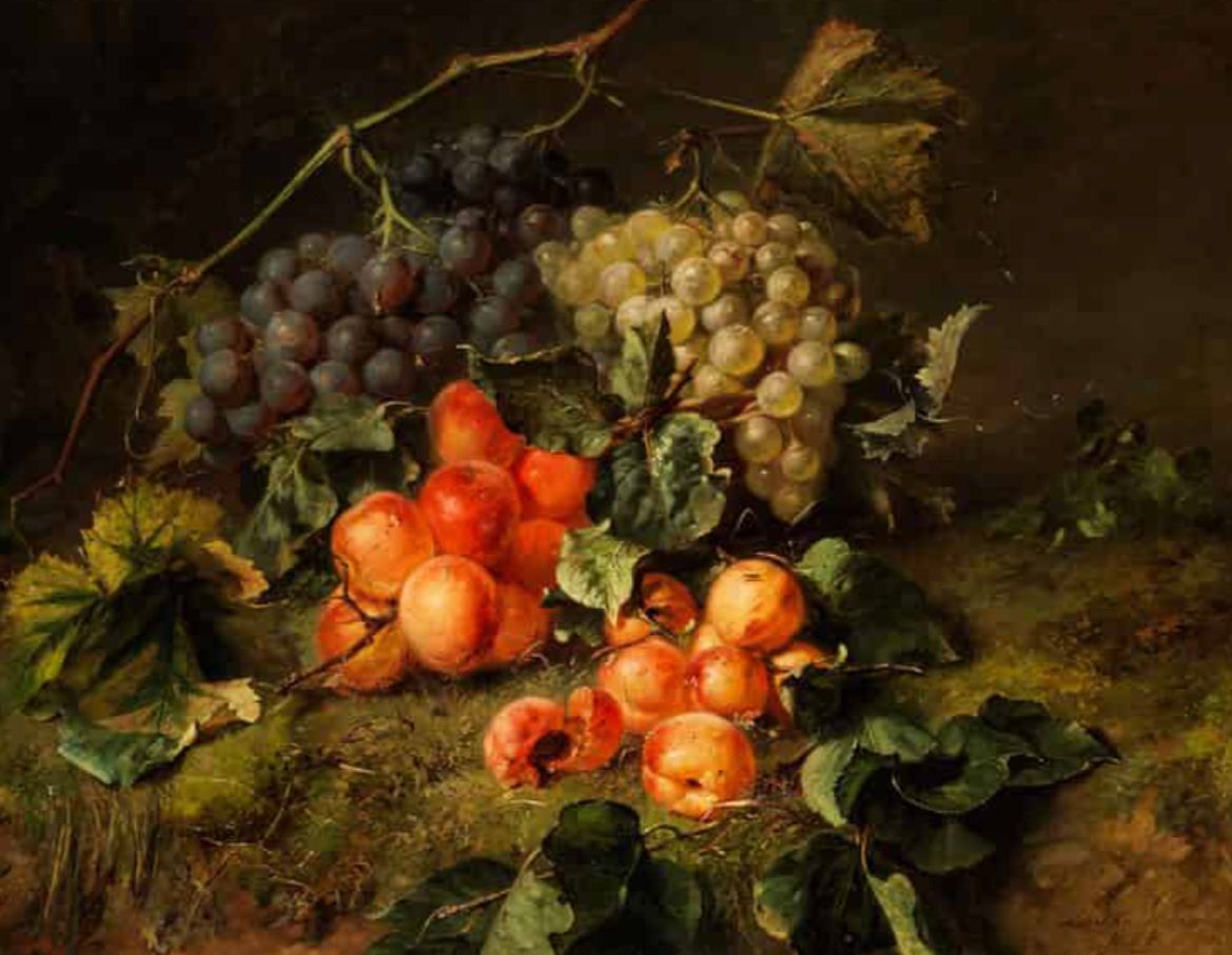 Fruit Still life