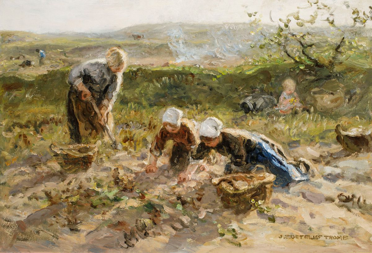 Potato Harvest - image 1