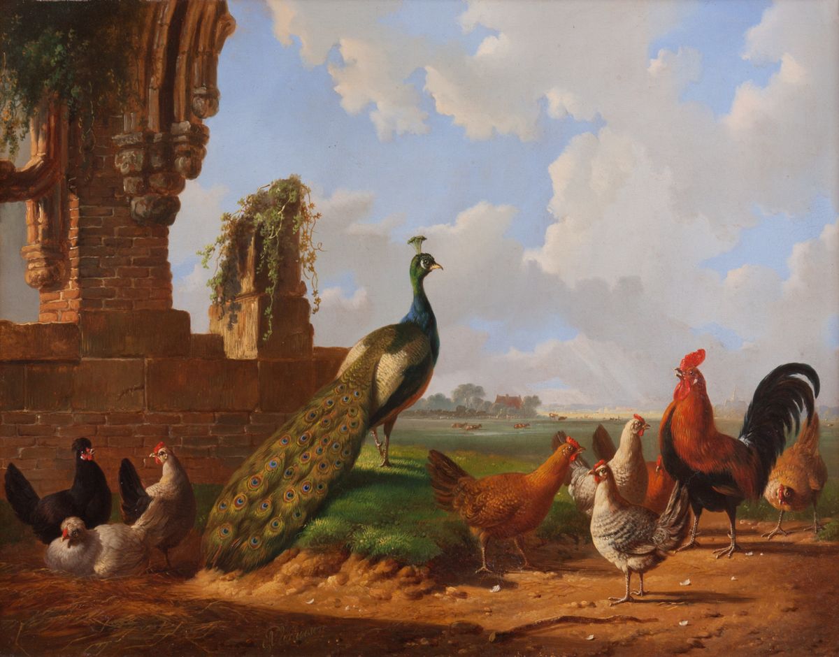 Landscape with a Peacock and poultry