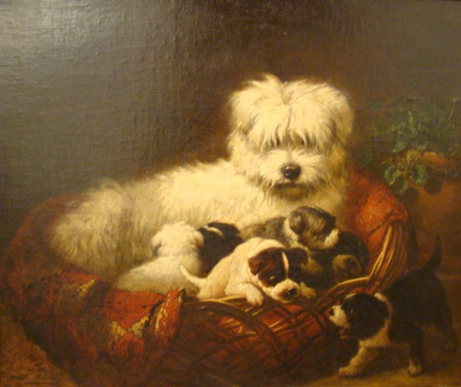 Henriette Ronner-Knip, schilderiij van honden: Maltezer met pups