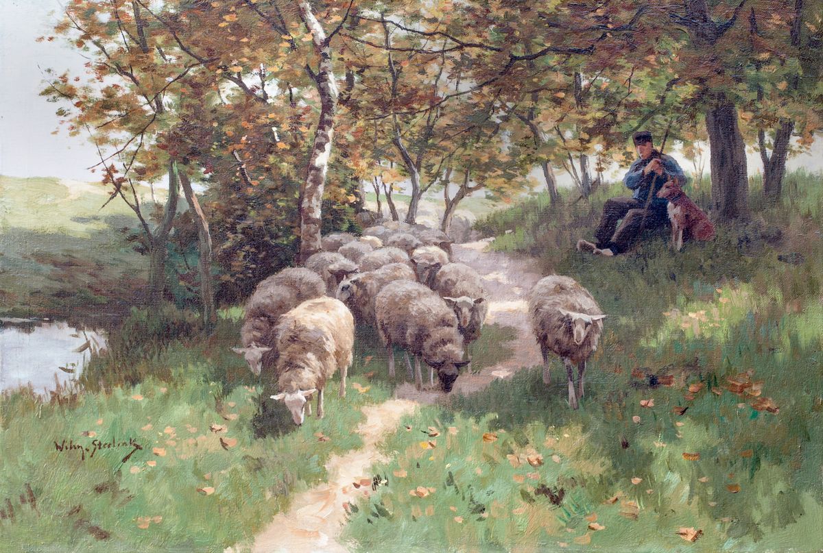 Herder met hond en kudde schapen