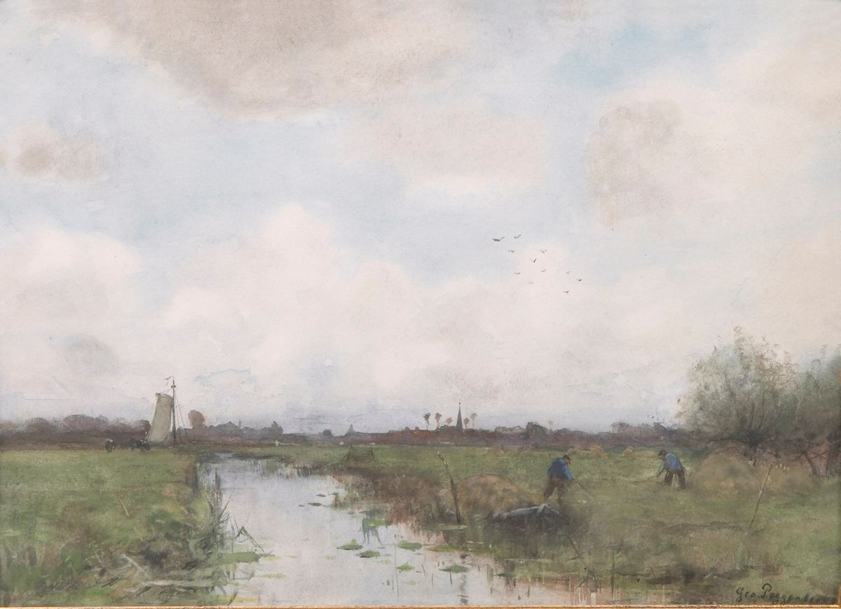 polder landschap