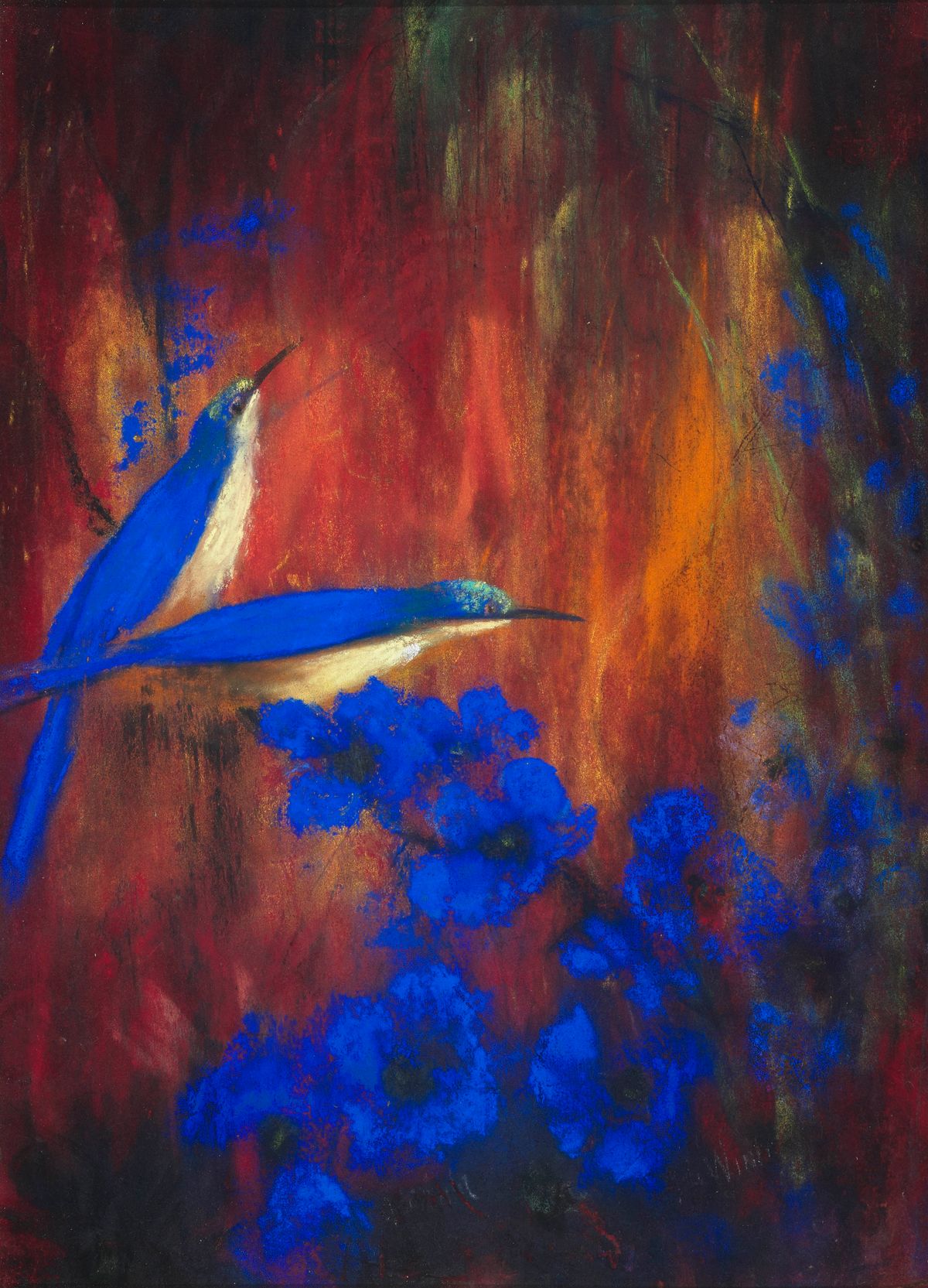 Tropical birds