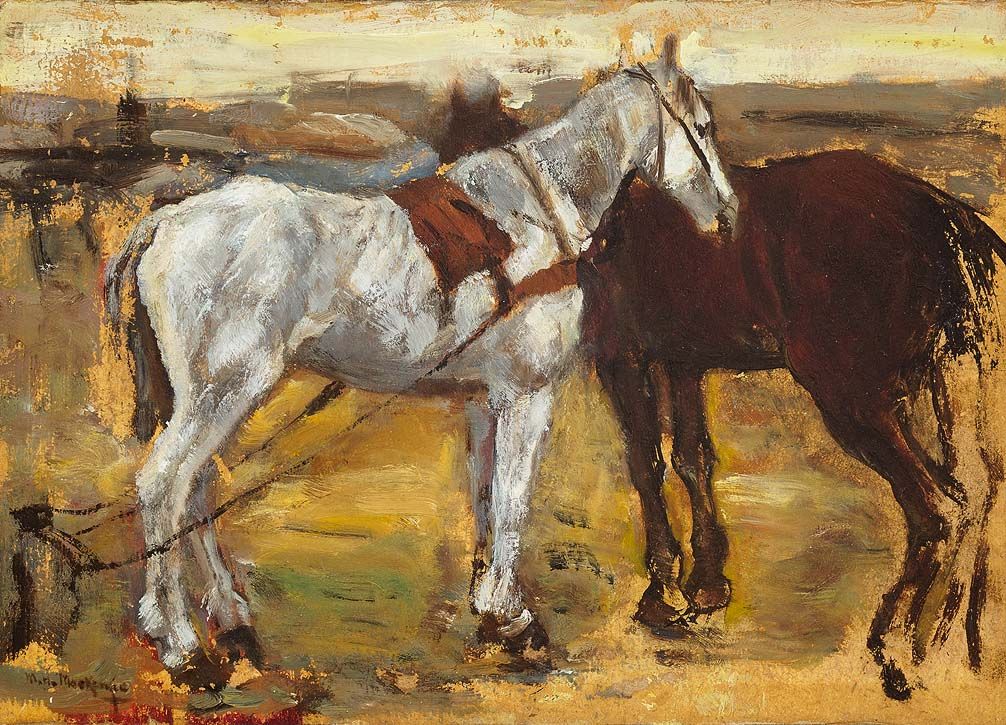 Horses