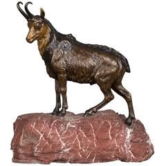 A Vienna bronze figure of a Mountain Goat - image 1