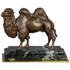 An unusual French camel bronze circa 1860 - afbeelding 1
