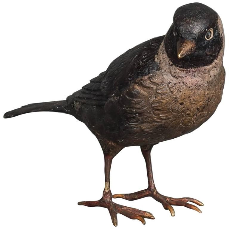 A charming multicoloured Vienna finch bird bronze late 19th century - image 1