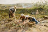 Potato Harvest - image 1