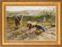 Potato Harvest - image 2