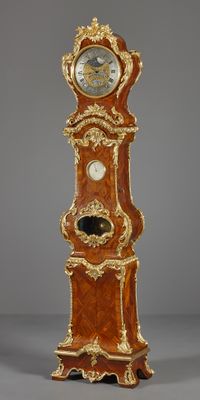French Louis XV regulator longcase clock with equation,  Julien Le Roy - image 1