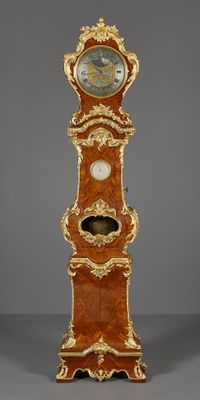 French Louis XV regulator longcase clock with equation,  Julien Le Roy - image 2