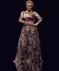 Spring 2016 Dolce & Gabbana Runway Dress
