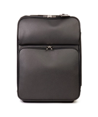 Louis Vuitton Pégase Taiga Leather Trolley 55