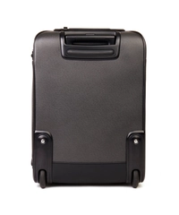 Louis Vuitton Pégase Taiga Leather Trolley 55