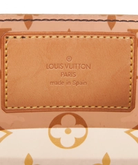 Louis Vuitton Cabas Ambre Tote Bag PM - 2003 Cruise Collection