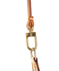 Louis Vuitton Monogram Pochette