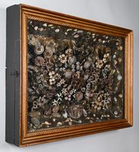 Viewing cabinet with flower basket of all kinds of shells - image 2