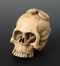 A Japanese ivory skull - image 1