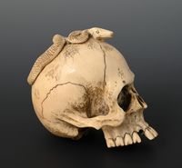 A Japanese ivory skull - image 3