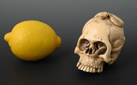 A Japanese ivory skull - image 2