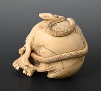 A Japanese ivory skull - image 4