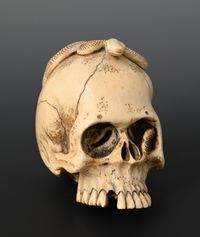 A Japanese ivory skull - image 6