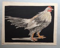 Eight drawings of birds - image 9