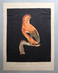 Eight drawings of birds - image 7