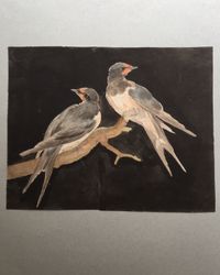Eight drawings of birds - image 4