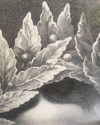 Napoleon in coronation robes - image 8