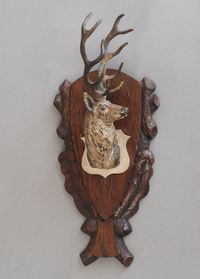 A nice head of a stag or a deer Vienna bronze circa 1900 - afbeelding 2