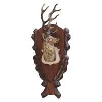 A nice head of a stag or a deer Vienna bronze circa 1900 - afbeelding 1