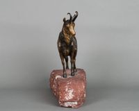 A Vienna bronze figure of a Mountain Goat - image 3