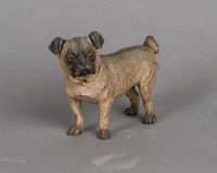 A beautiful Austrian cold painted 'Vienna Bronze' of a pug dog, circa 1890 - image 2