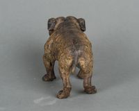 A strong Vienna bulldog bronze, circa 1890 - image 2