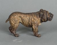 A strong Vienna bulldog bronze, circa 1890 - image 4