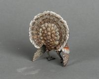 Very unusual, beautiful coloured cold painted Vienna bronze, signed Bergmann - image 4
