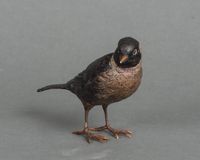 A charming multicoloured Vienna finch bird bronze late 19th century - image 2