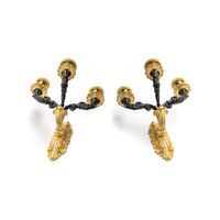 French Charles X appliques (wall lightening) - image 1